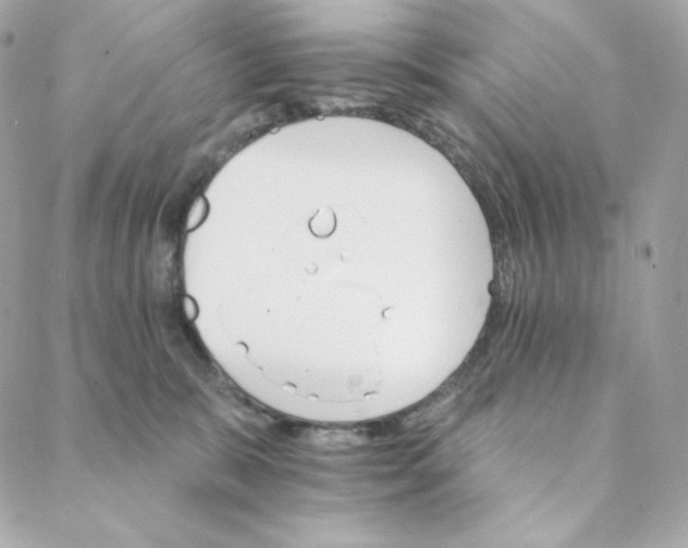 X0000088200327200706051238