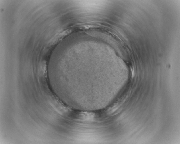 X0000088200328200706051238