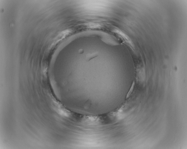 X0000088200329200706051238