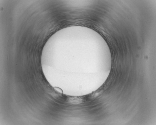 X0000088200331200706051238