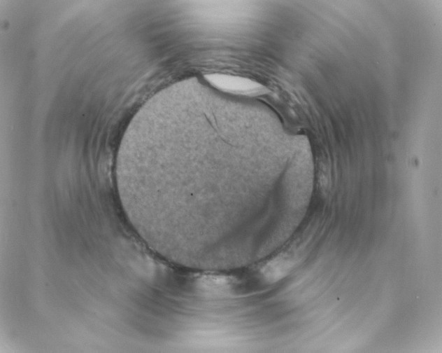 X0000088200332200706051238