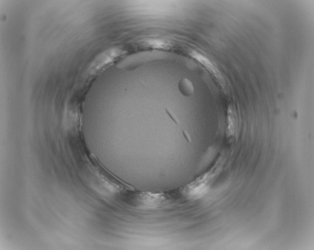 X0000088200333200706051238