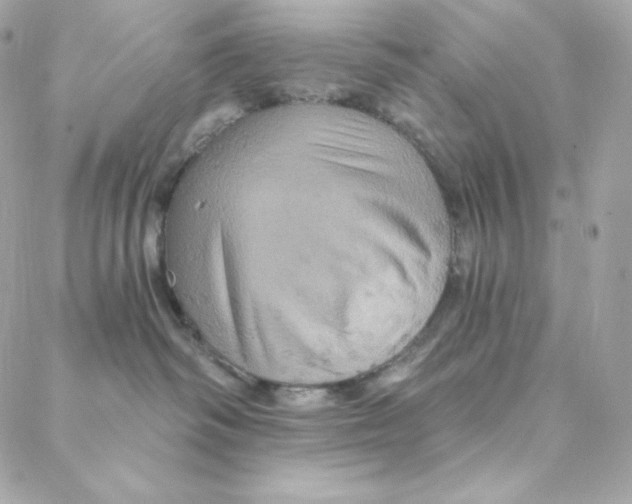 X0000088200334200706051238