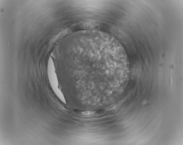 X0000088200335200706051238