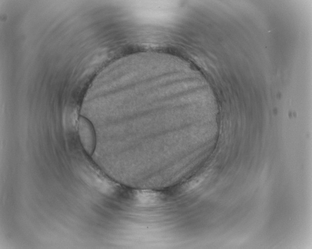 X0000088200336200706051238