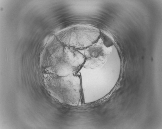 X0000088200337200706051237