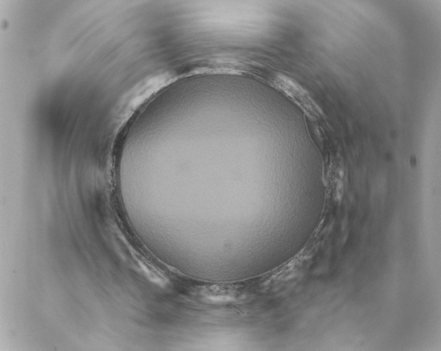 X0000088200338200706051237