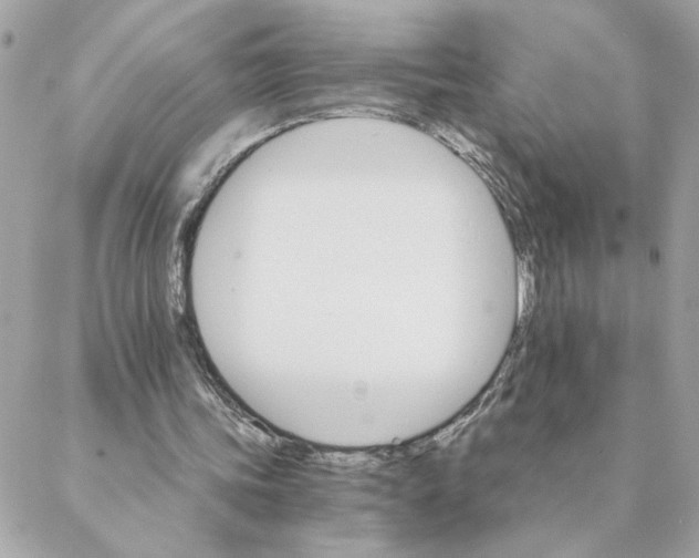 X0000088200339200706051237