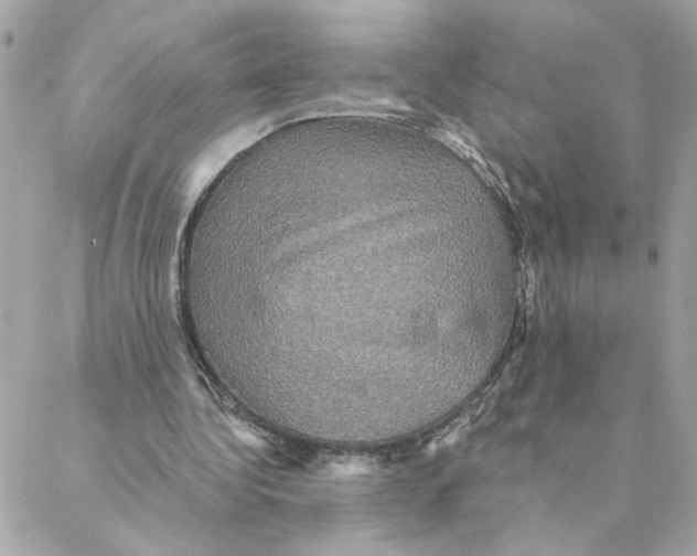 X0000088200340200706051237