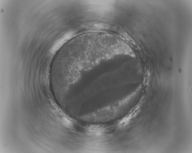 X0000088200341200706051237