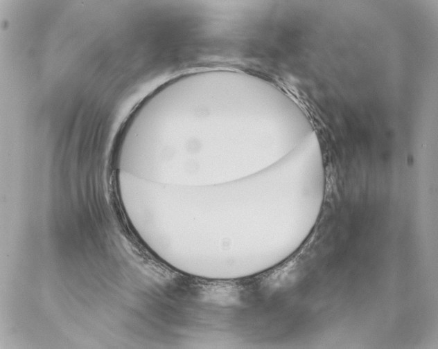 X0000088200342200706051237