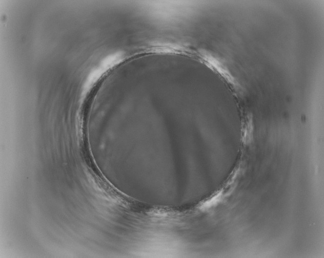 X0000088200343200706051237