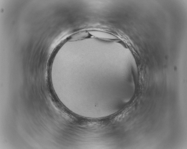 X0000088200344200706051237