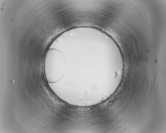 X0000088200345200706051237