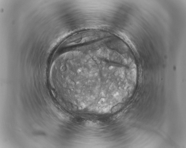 X0000088200346200706051237