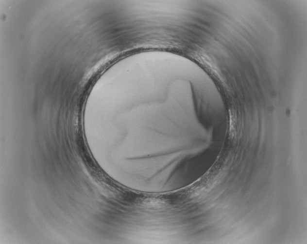 X0000088200348200706051237