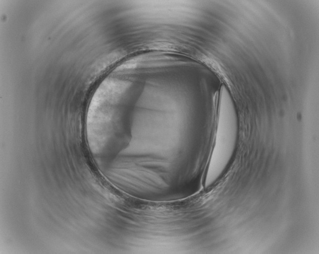 X0000088200349200706051237