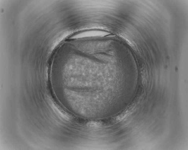 X0000088200350200706051237