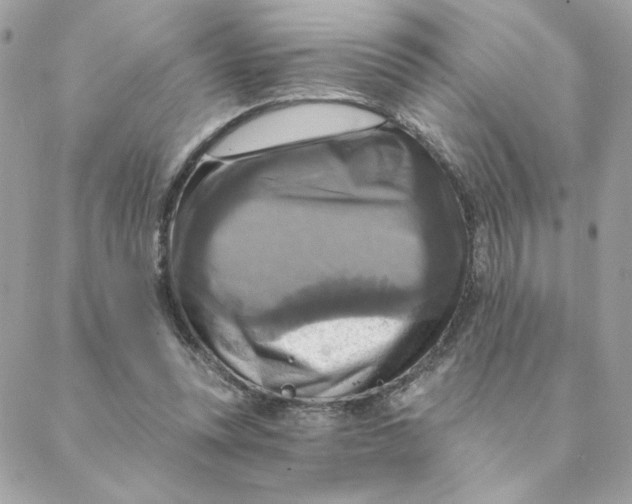 X0000088200351200706051237