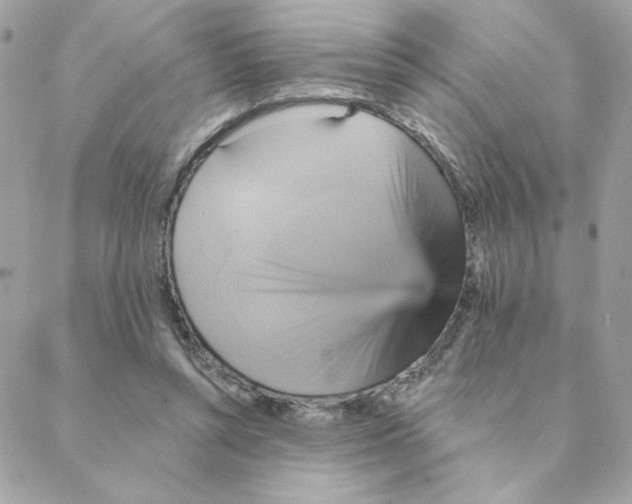 X0000088200352200706051237