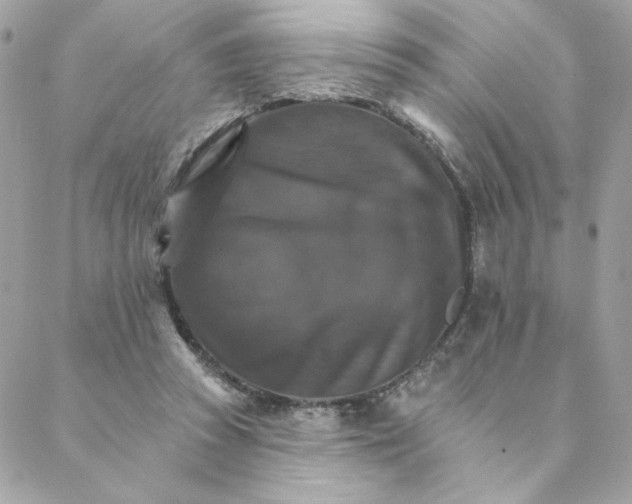 X0000088200353200706051237