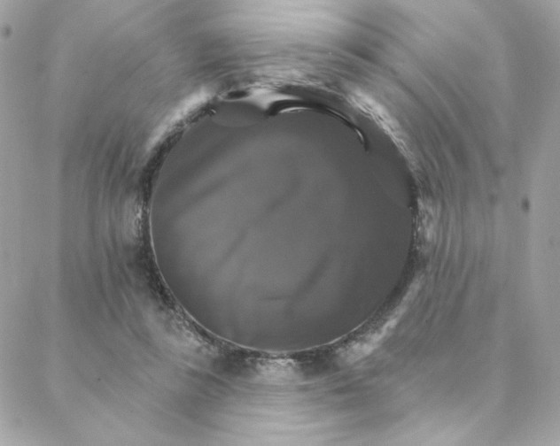 X0000088200355200706051237