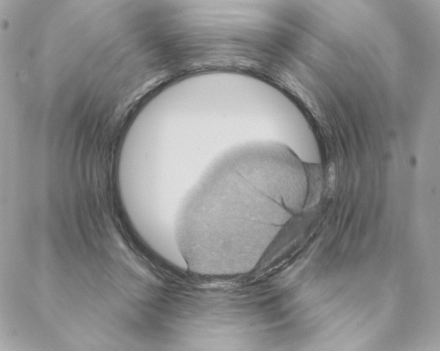 X0000088200356200706051237