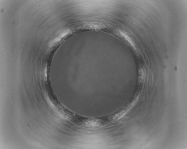 X0000088200358200706051237