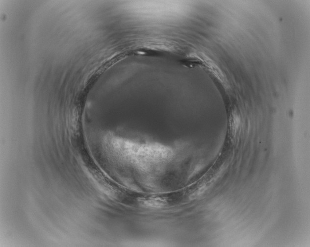 X0000088200359200706051237