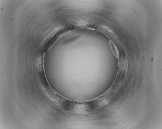 X0000088200360200706051237