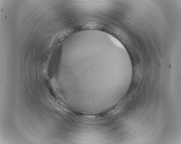 X0000088200361200706051238