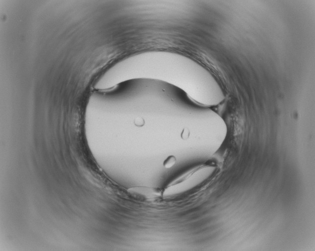 X0000088200362200706051238