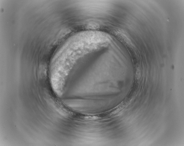 X0000088200363200706051238