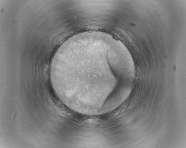 X0000088200364200706051238