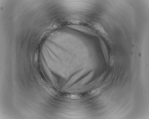 X0000088200365200706051238