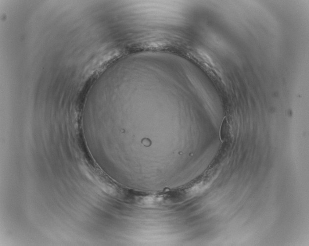 X0000088200366200706051238