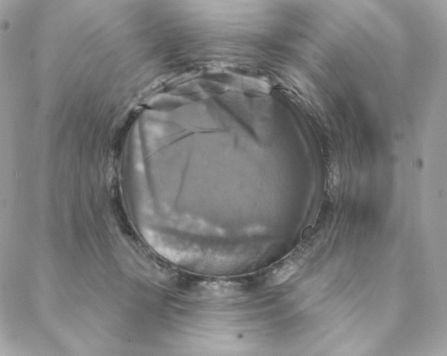 X0000088200367200706051238