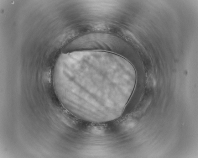 X0000088200368200706051238