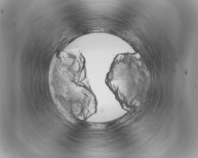 X0000088200369200706051238