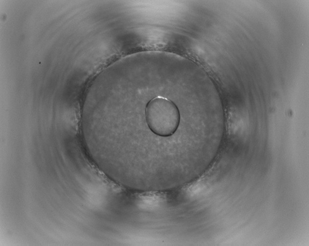 X0000088200370200706051238