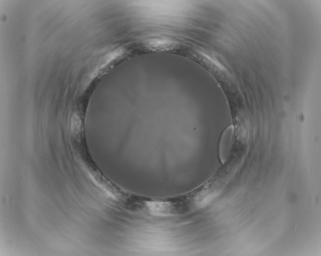 X0000088200371200706051238