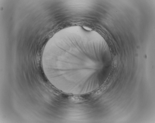 X0000088200372200706051238