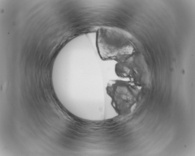 X0000088200373200706051238