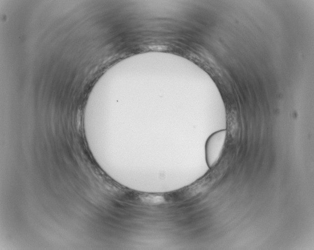 X0000088200374200706051238