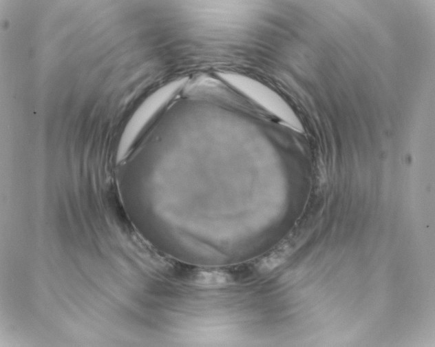 X0000088200376200706051238