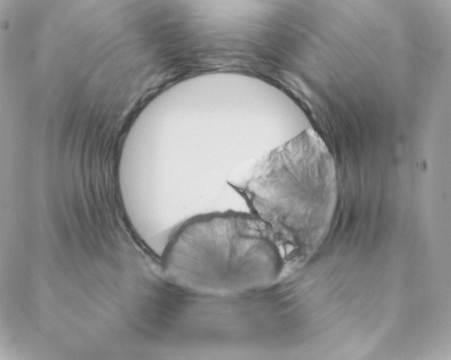 X0000088200377200706051238