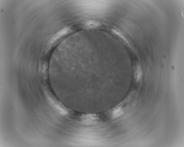 X0000088200378200706051238