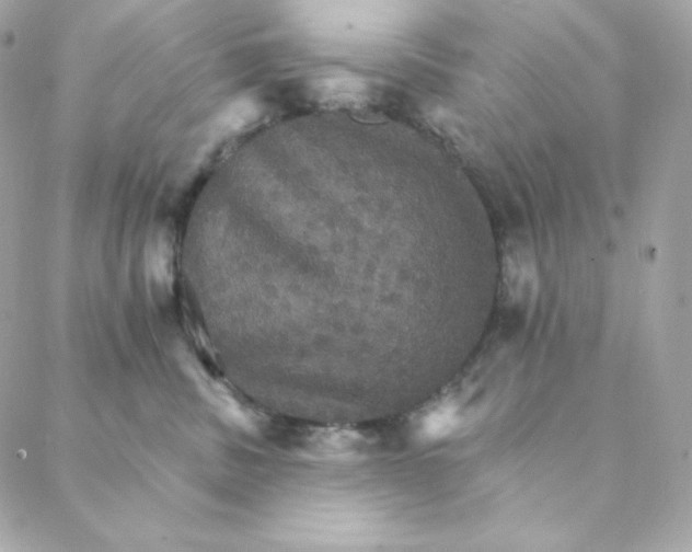 X0000088200379200706051238