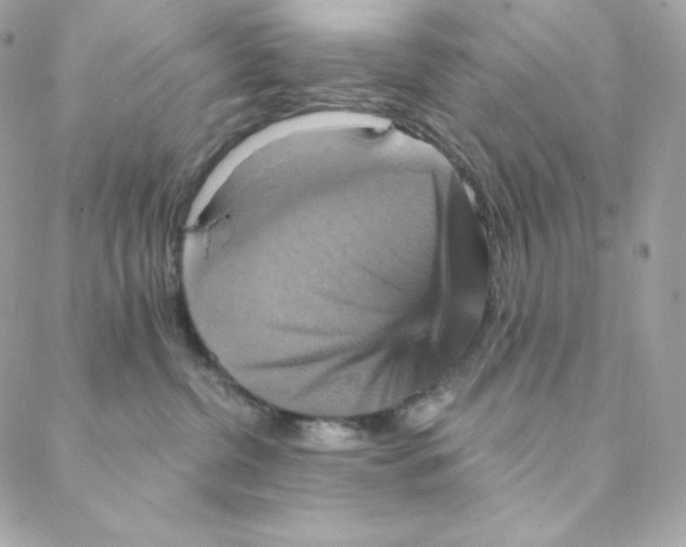 X0000088200380200706051238