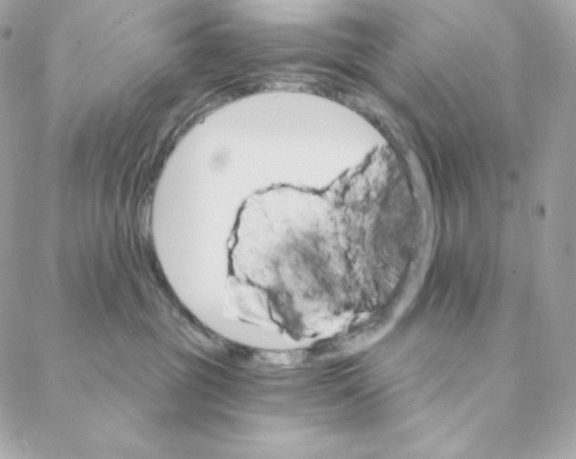 X0000088200381200706051238